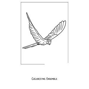 Coloriage d'un ara hyacinthe volant les ailes déployées