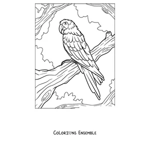 Coloriage d'un ara perché sur une branche