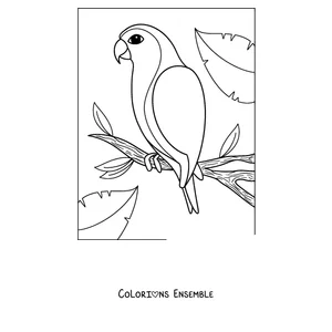Coloriage d'un perroquet en contour simple perché