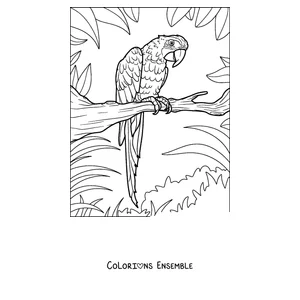 Coloriage d'un perroquet détaillé perché sur une branche feuillue
