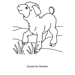 Coloriage de petit agneau dans l'herbe au soleil