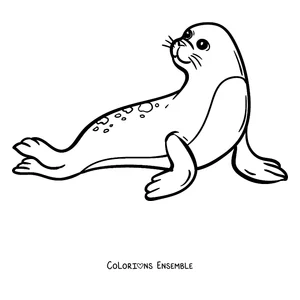 Coloriage d’un phoque au repos sur la glace