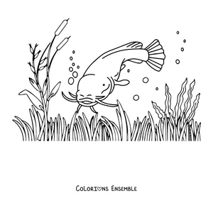 Coloriage d'un poisson-chat nageant parmi les roseaux