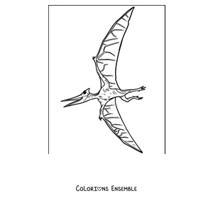 Coloriage d'un ptérodactyle simple volant dans le ciel