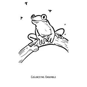 Coloriage d'une rainette sur une branche entourée d'insectes