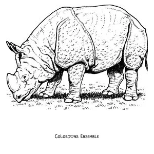 Coloriage d'un rhinocéros indien à la peau en plaques