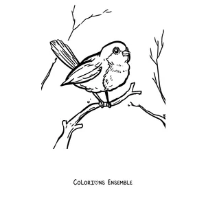 Coloriage d'un rouge-gorge parmi les branches nues en hiver