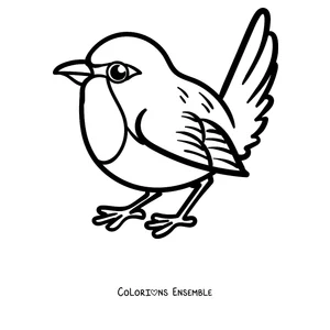 Coloriage d'un rouge-gorge mignon avec la queue relevée