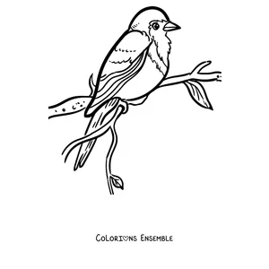 Coloriage d'un rouge-gorge perché sur une branche feuillue