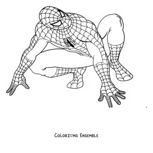 Coloriage de Spider-Man accroupi à quatre pattes prêt à sauter