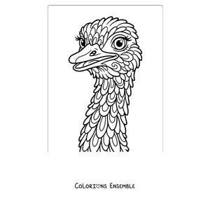 Coloriage d'une tête d'autruche en gros plan