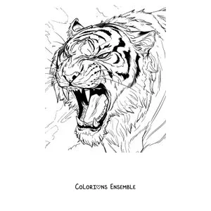 Coloriage d'une tête de tigre rugissant