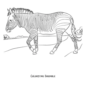 Coloriage d'un zèbre qui marche au soleil