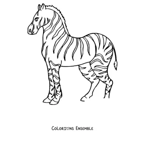 Coloriage d'un zèbre debout de profil